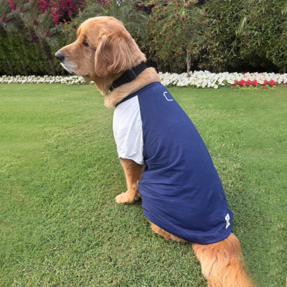 Sencillo's Ultra Soft T-shirt For Dogs