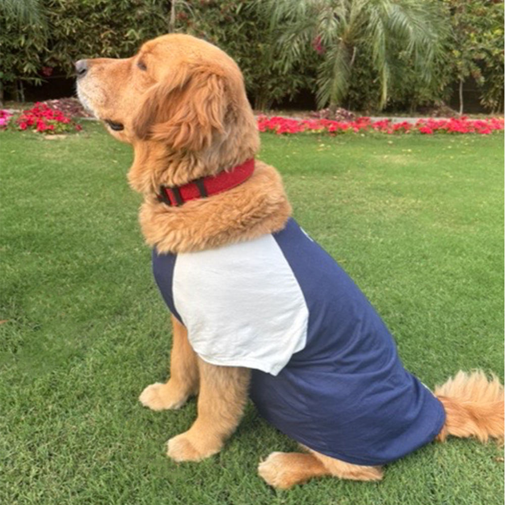 Sencillo's Ultra Soft T-shirt For Dogs