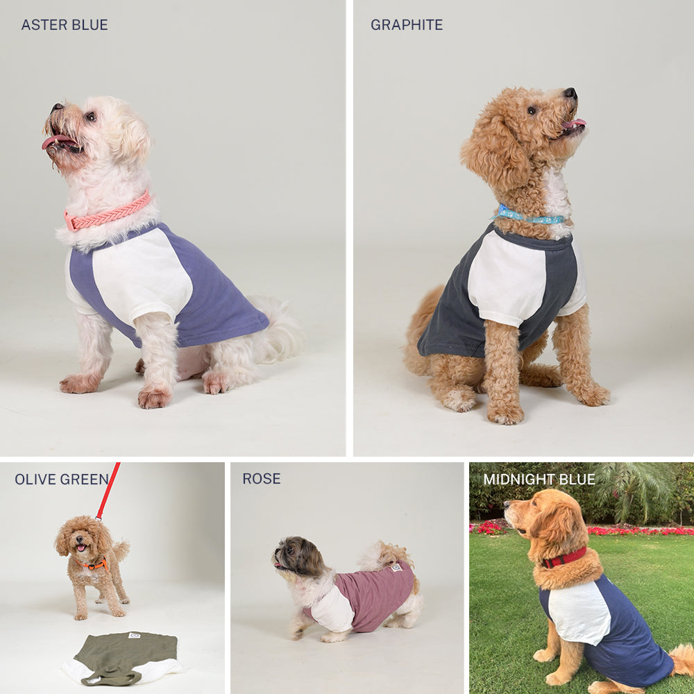 Sencillo's Ultra Soft T-shirt For Dogs