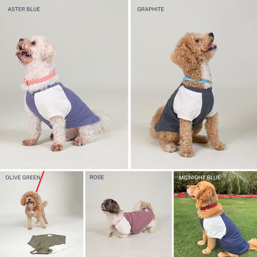Sencillo's Ultra Soft T-shirt For Dogs