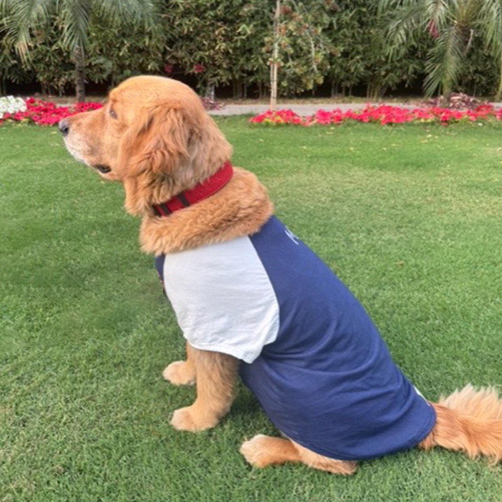 Sencillo's Ultra Soft T-shirt For Dogs