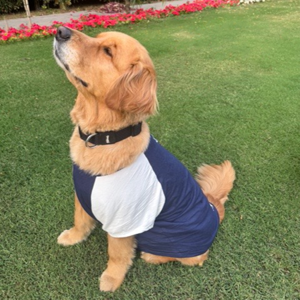 Sencillo's Ultra Soft T-shirt For Dogs
