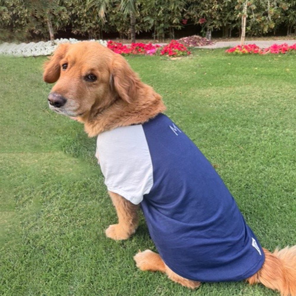 Sencillo's Ultra Soft T-shirt For Dogs