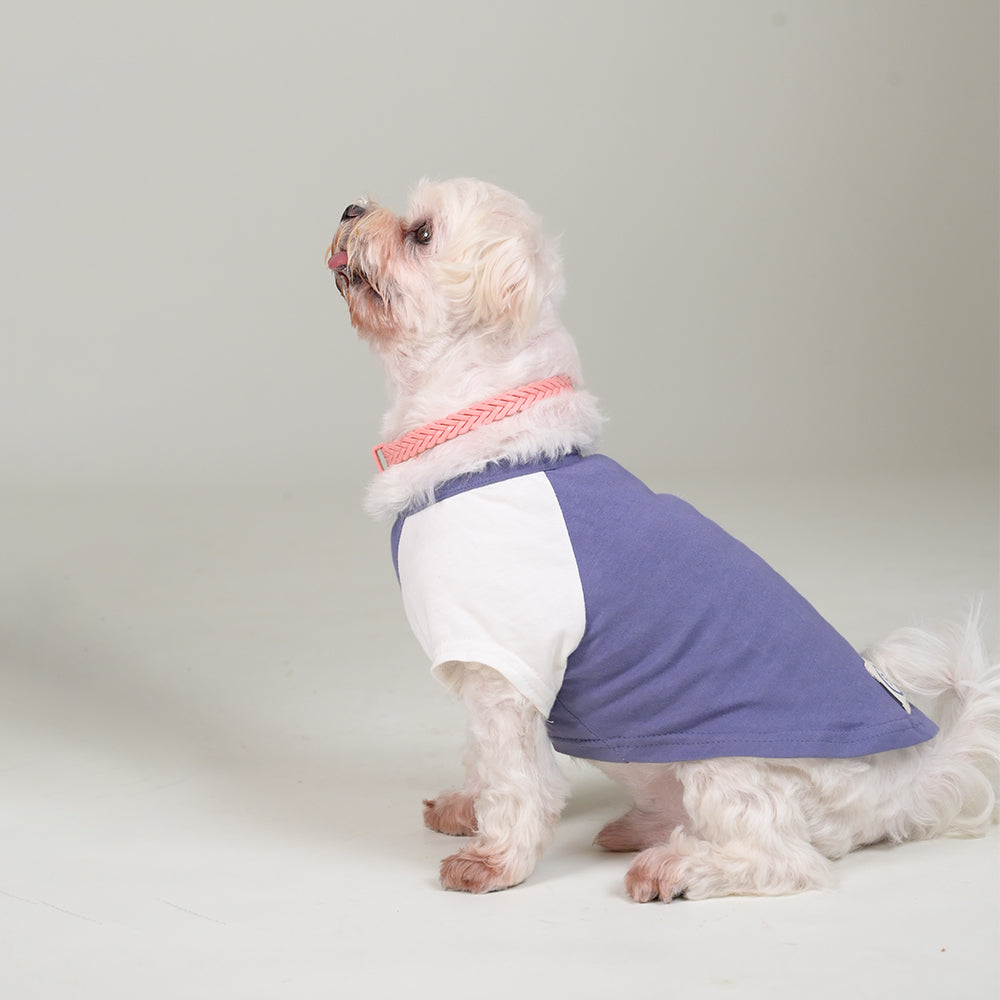 Sencillo's Ultra Soft T-shirt For Dogs