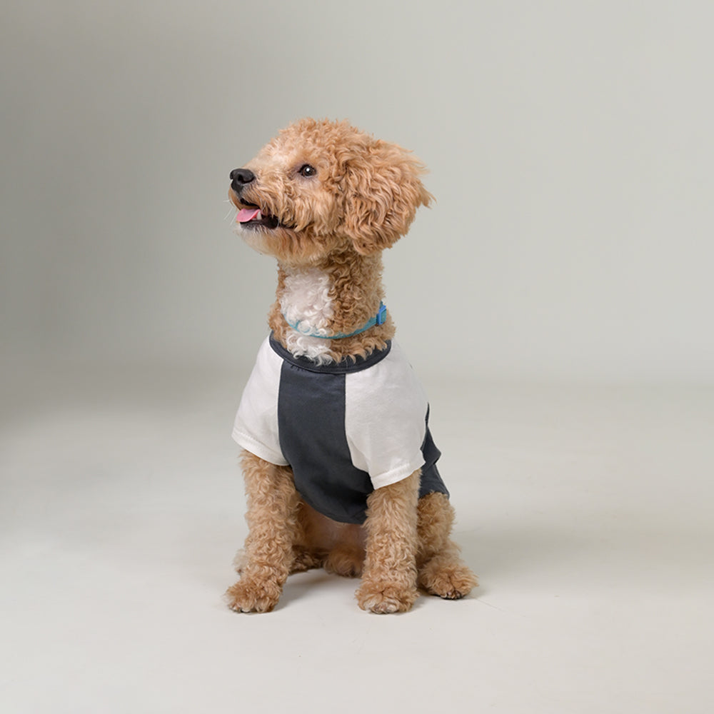 Sencillo's Ultra Soft T-shirt For Dogs
