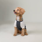 Sencillo's Ultra Soft T-shirt For Dogs