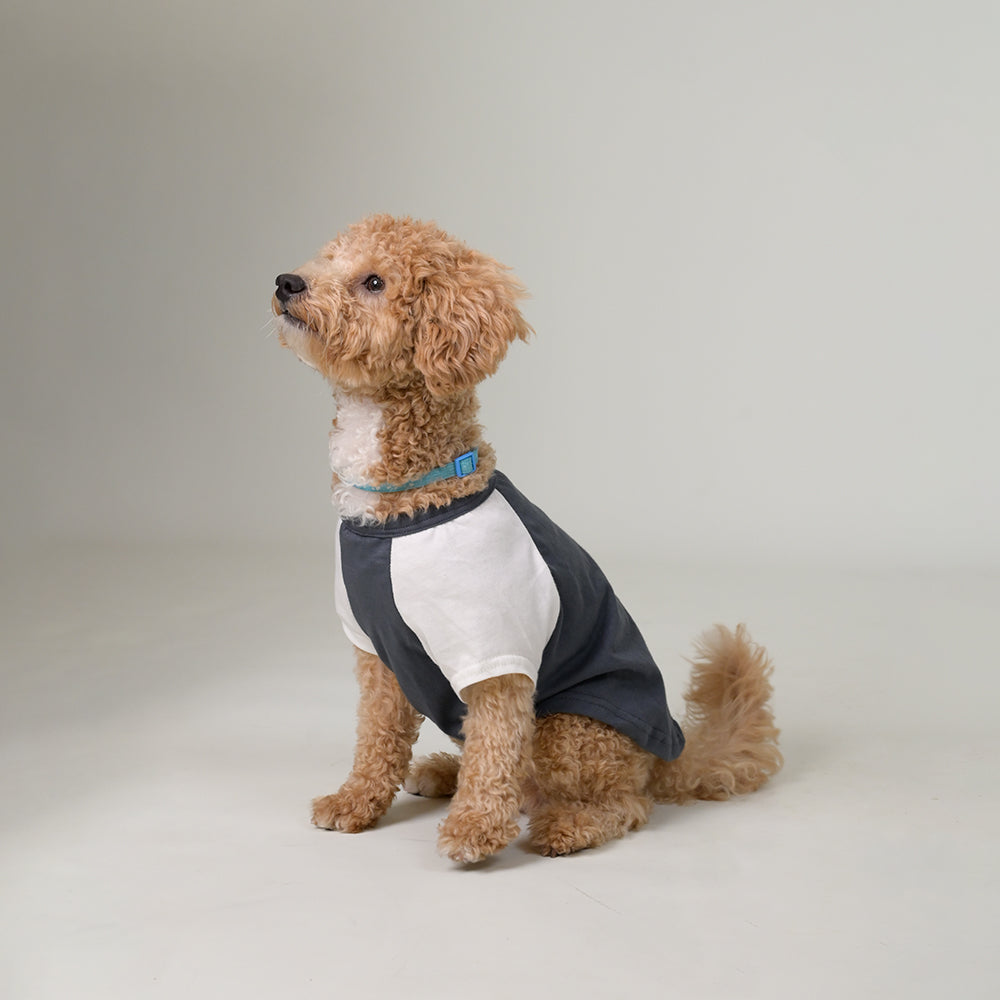 Sencillo's Ultra Soft T-shirt For Dogs