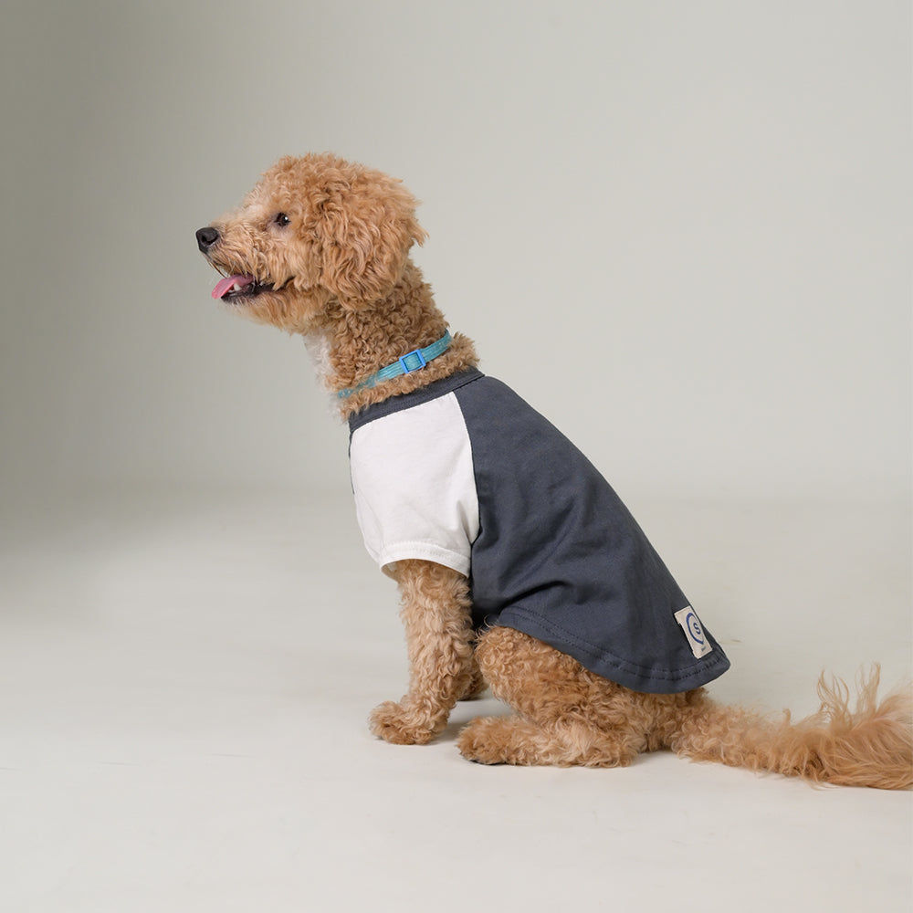 Sencillo's Ultra Soft T-shirt For Dogs