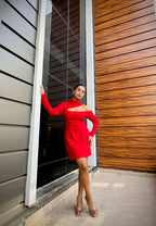 LITTLE RED DRESS