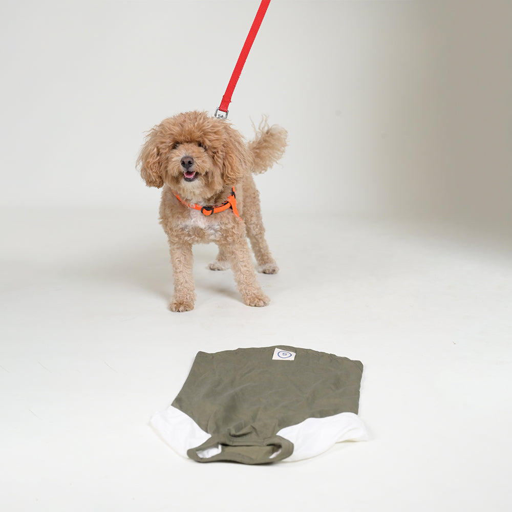 Sencillo's Ultra Soft T-shirt For Dogs