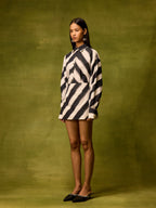 Vienna Stripe Mini Skirt