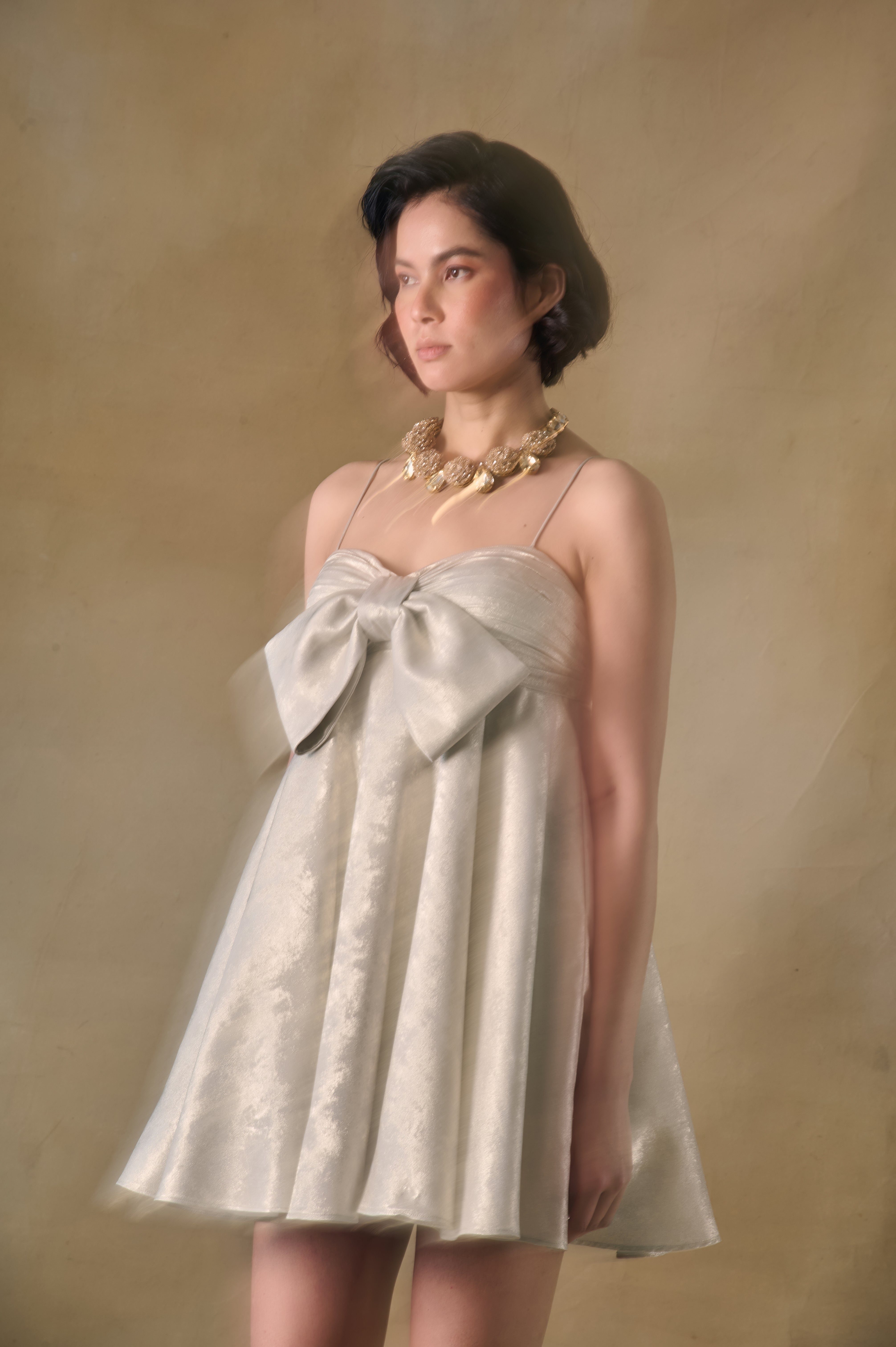 Stardust Bow Dress