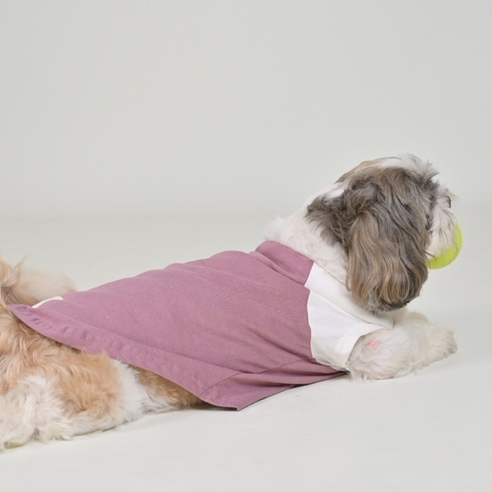Sencillo's Ultra Soft T-shirt For Dogs